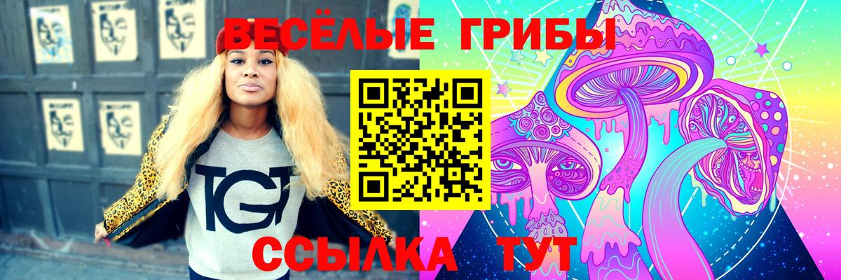 Бузулук  Псилоцибиновые грибы Psilocybine cubensis  дарнет шоп  Вход с VPN 