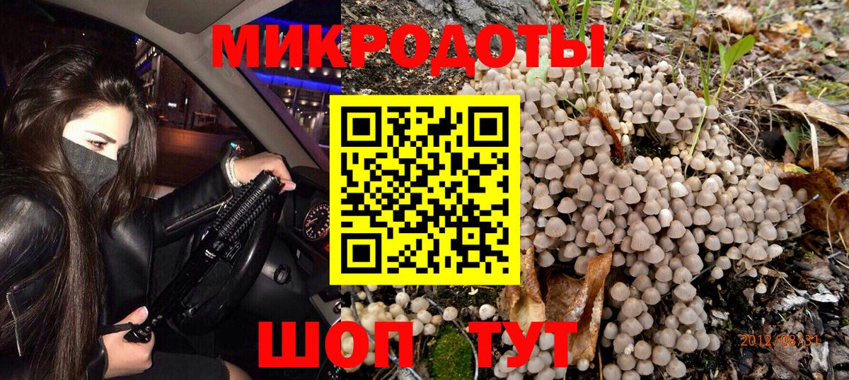 Галлюциногенные грибы Psilocybe Бузулук